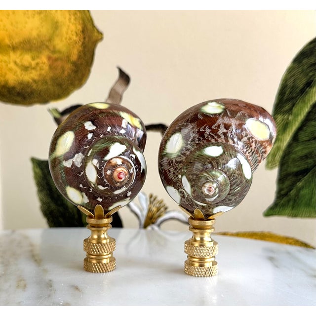 Metal Spotted Shell Lamp Finials on Brass Hardware - a Pair For Sale - Image 7 of 9