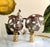 Metal Spotted Shell Lamp Finials on Brass Hardware - a Pair For Sale - Image 7 of 9