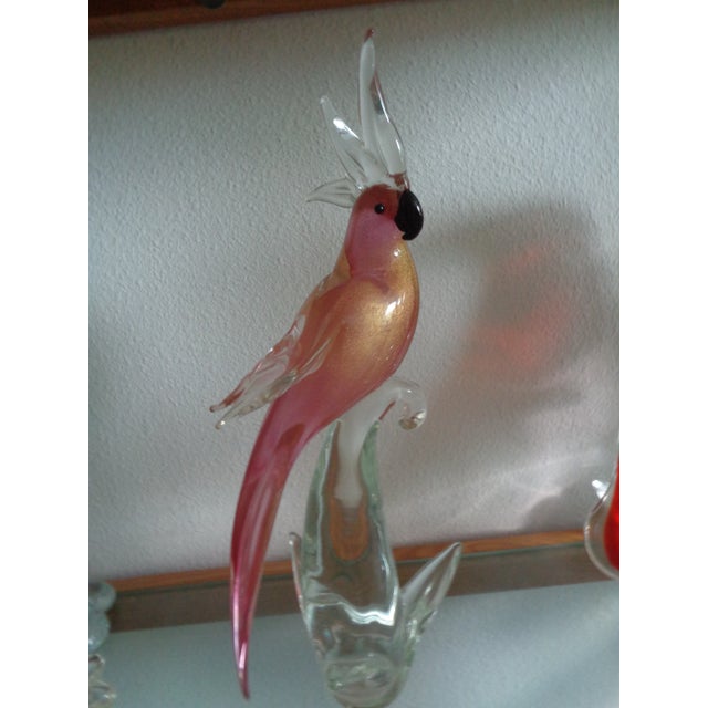 IItalian Vintage Cockatoo For Sale In Tampa - Image 6 of 8