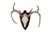 9 point atypical mounted deer skull on a rough sawn plaque. Skull has been painted with a high gloss paint in a bright...