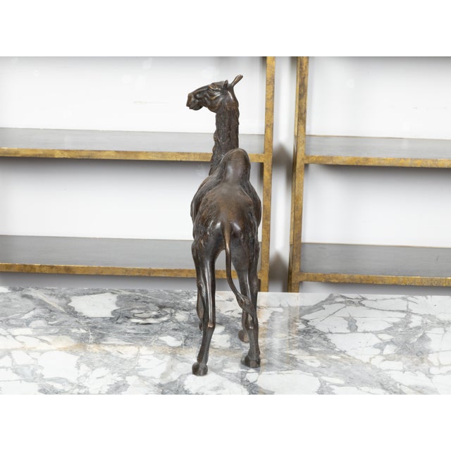 French Turn of the Century Cast Bronze Camel Statuette with Dark Patina, 1900s For Sale - Image 4 of 10