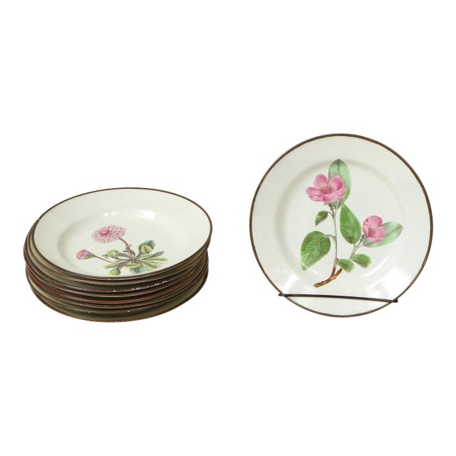 Set of Eight English Pearlware Botanical Dessert Plates For Sale