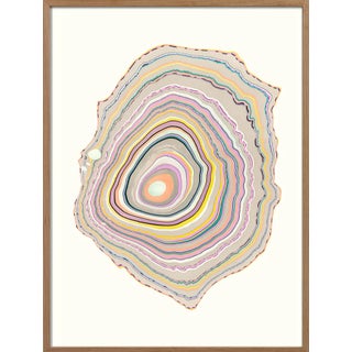 Pernille Snedker, Grey Woodrings #16, Giclée Print For Sale