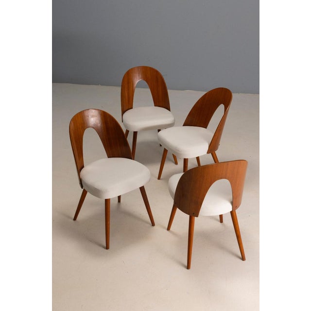 Dining Chairs from Antonín Šuman, Czechoslovakia, 1960s, Set of 4 For Sale - Image 6 of 7