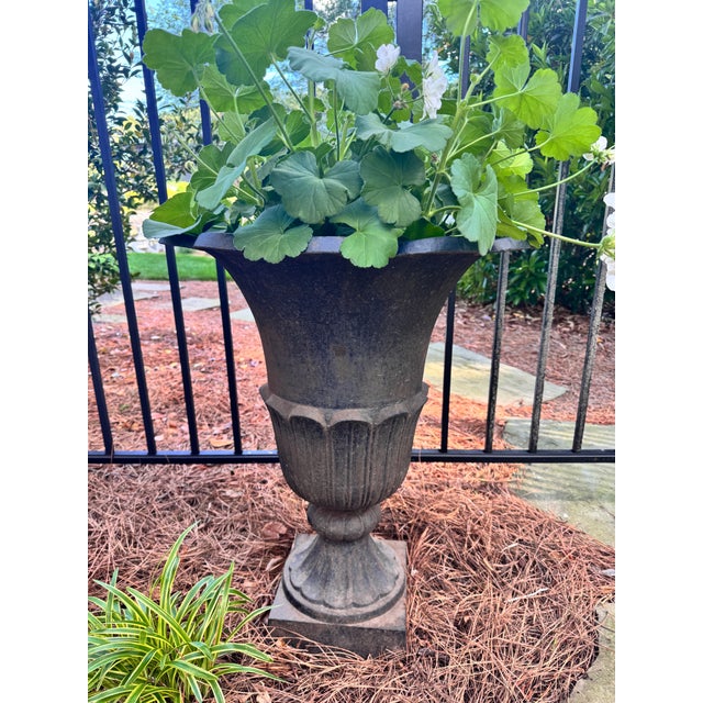 A Pair of Beautiful Matching Cast Iron Urns/Planters.