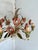 1970s Vintage Passeri Florentine Floral Chandelier in Hand-Painted Wrought Iron, Italy, 1960s For Sale - Image 5 of 15