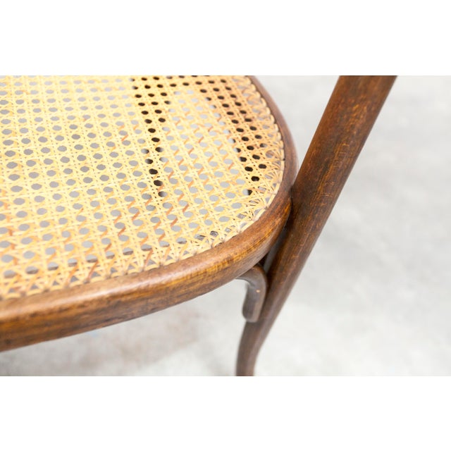 Hand-Caned Bentwood Bench from Fischel, 1930s For Sale - Image 4 of 18