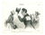 Henri Daniel Plattel, MACÉDOINE No. 34, Mid 19th Century, Lithograph For Sale