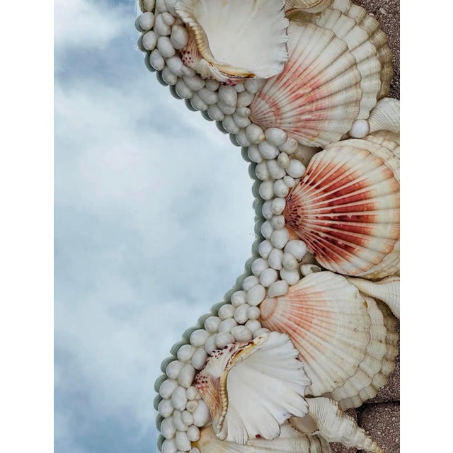 Almond 1970s Miami Beach Monumental Coastal Seashell Mirror For Sale - Image 8 of 10