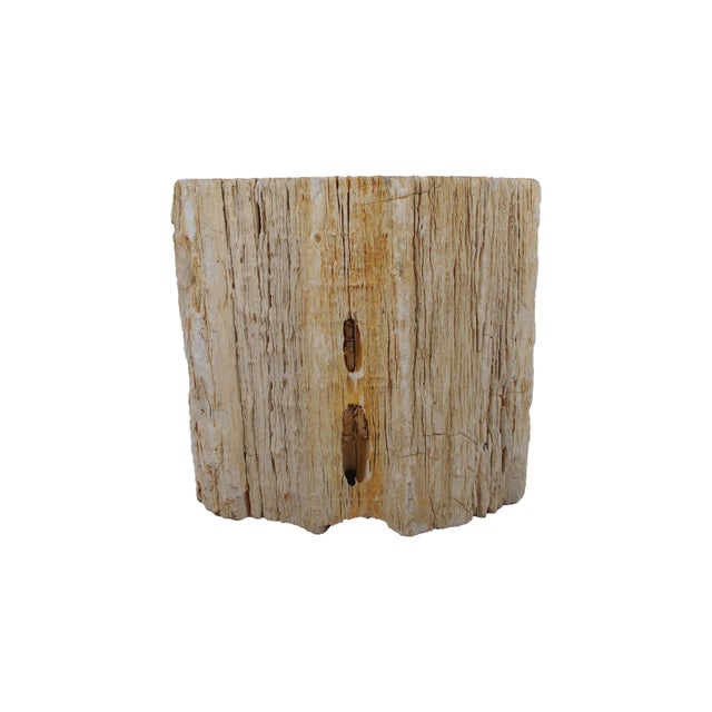 Early 21st Century Large Petrified Wood Side Table by Xyleia Petrified Wood For Sale - Image 5 of 7