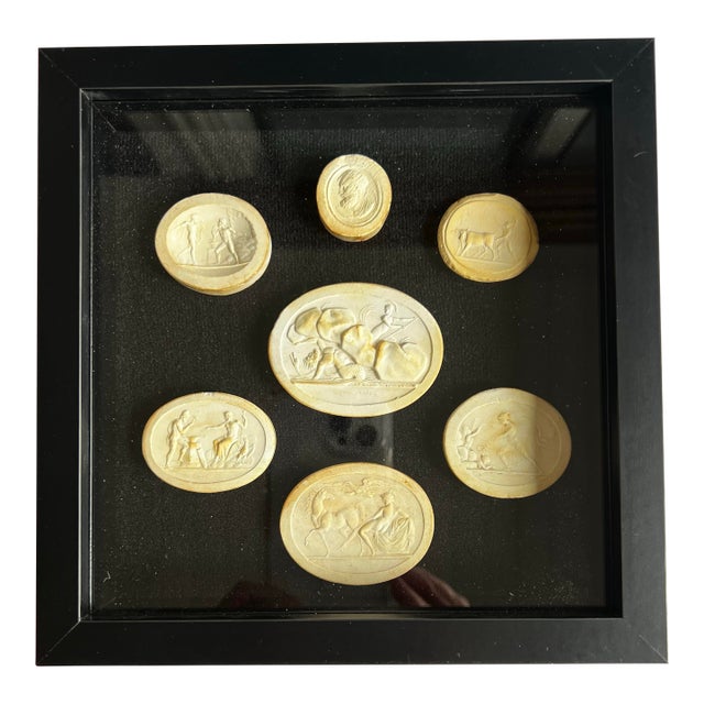 Grand Tour Neoclassical Plaster Intaglio Collection in Shadow Box Frame, Classical Medallions Wall Art For Sale