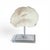 Natural White Mushroom Coral Specimen on Glass Block For Sale - Image 11 of 12