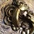 Wild Spanish Horses Wall Medallion Gold Over Plaster For Sale - Image 9 of 13