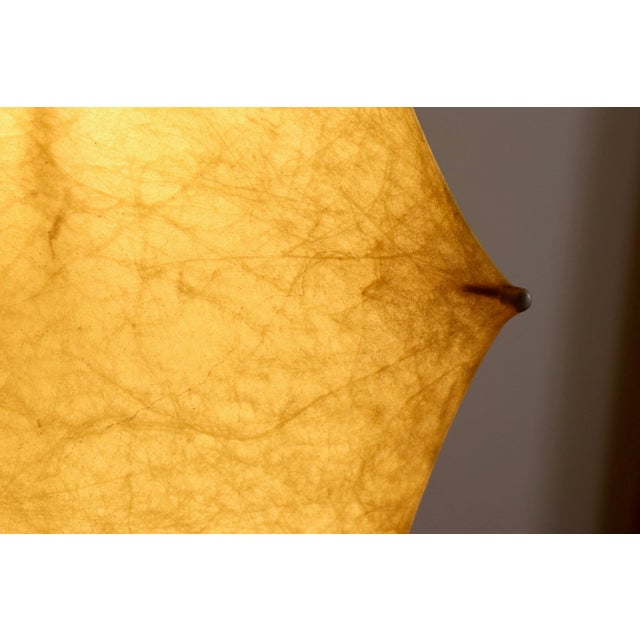 Ghost Floor Lamp by Tobia Scarpa for Flos, Italy, 1960s For Sale - Image 9 of 13