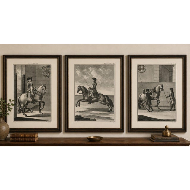 Portuguese Equestrian Training Engravings — Baroque Horsemanship, 1790 This striking set of three antique copperplate...