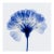 Abstract Blue Botanical Limited Edition Fine Art Print No. 2 | Organic Modern For Sale