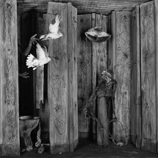Roger Ballen, Relinquished, 2010, Mixed Media For Sale
