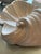 Paint Plaster Shell Wall Lamp, 1950s For Sale - Image 7 of 13