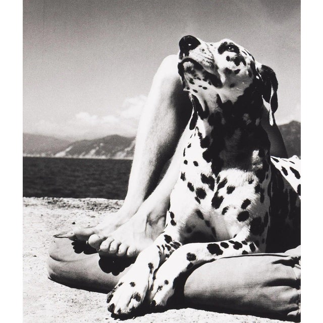 Silver Complete Herbert List Editioned Portfolio Zeitlupe For Sale - Image 8 of 17