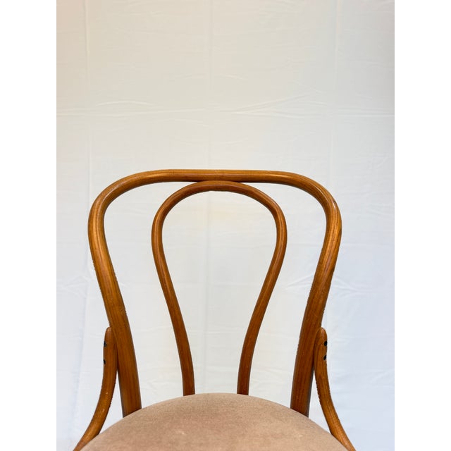 Mid 20th Century Vintage Thonet Bentwood Café Chair With Upholstered Seat and Original Labels For Sale - Image 5 of 10