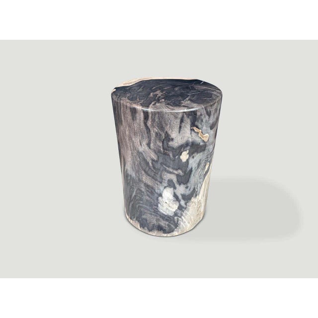 Andrianna Shamaris Modern Organic Super Smooth Petrified Wood Side Table For Sale - Image 4 of 5