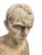Italian Vintage Italian Marble Bust of Julius Caesar For Sale - Image 3 of 5