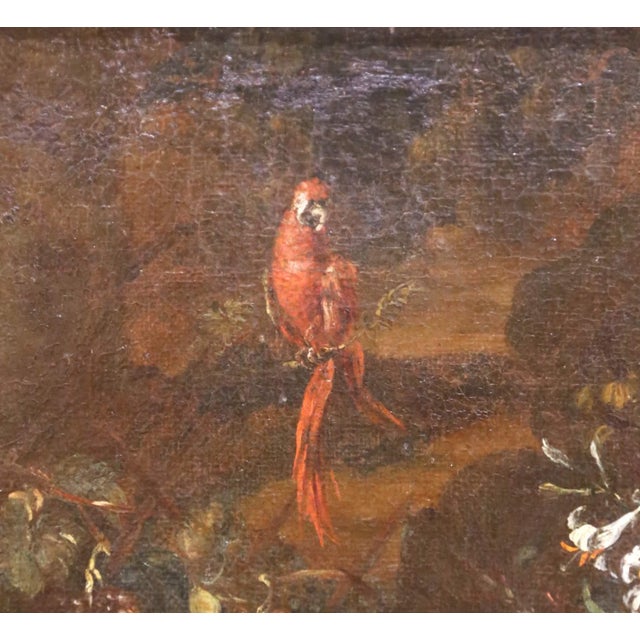 18th Century Flemish School Still Life Painting With Flowers and Parrot For Sale - Image 4 of 11