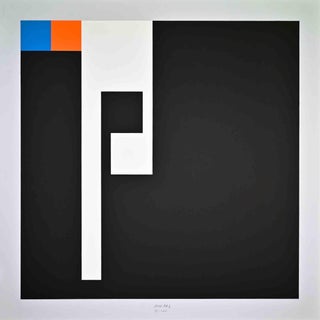 Bruno Munari, Negative, Positive, 1991, Screen Print For Sale