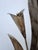 Original 22 Palm Leaf Motif Wall Sconces-a Pair For Sale - Image 9 of 12