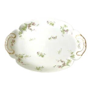 Limoges Haviland France Porcelain Platter