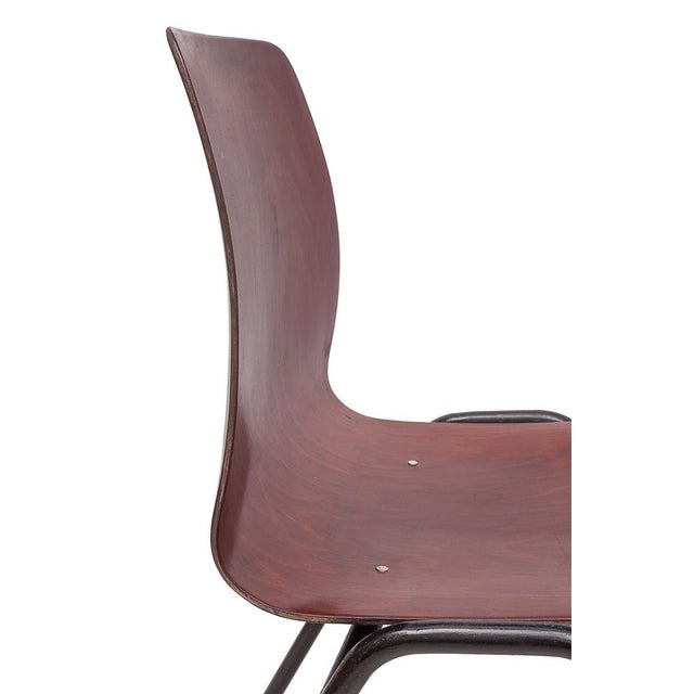 Wood Vintage Chairs from Pagholz Flötotto, 1950s, Set of 6 For Sale - Image 7 of 13