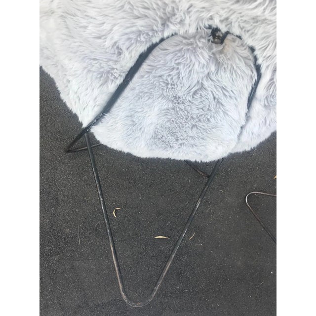 1950s French Circle Chair by Jean Royere, 1950s For Sale - Image 5 of 11