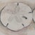 1990s Signed "Dianne Grusso '91." Original Sand Dollar Watercolor Still Life For Sale - Image 5 of 11