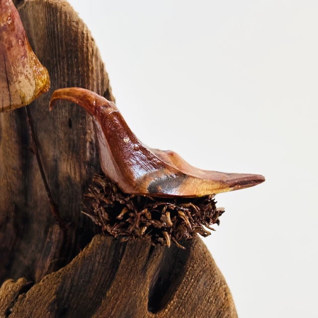 Wood Vintage Wood Bird Sculpture For Sale - Image 7 of 10