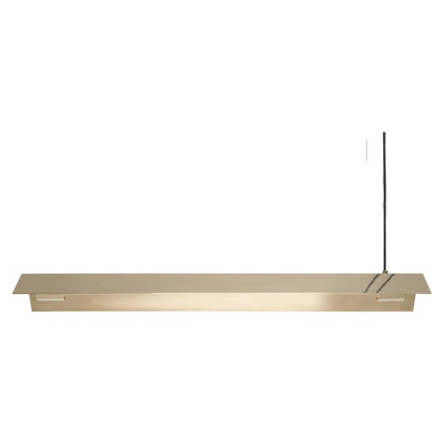 Medium Misalliance Brass Suspended Light by Lexavala For Sale