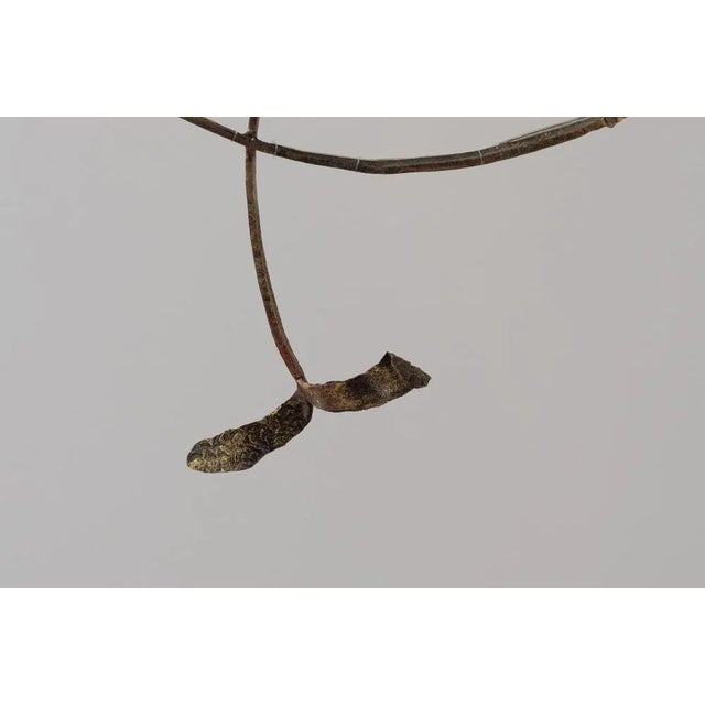 Chandelier by Salvino Marsura, Italy, 1970 For Sale - Image 11 of 15