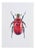 Juris Utans, Lilac-Pink Beetle, 2021, Mixed Media on Paper For Sale