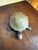 Vintage 1970s brass turtle keepsake box with a removable shell that lifts to reveal a concealed storage compartment. A...