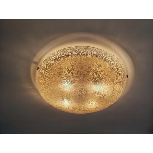Large Murano Speckled Glass Ceiling Lamp by Egon Hillebrand for Hillebrand Leuchten, Germany, 1970s For Sale - Image 13 of 18