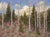 Spring Finally by Stephen Day | Oil on Panel Landscape with birch trees and green foliage For Sale