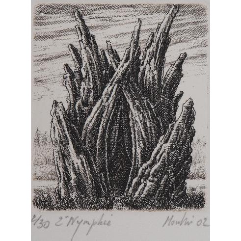 François Houtin, 2nd Nymphaeum, Etching For Sale