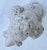 Antique White White Standard Poodle Dog Statue Garden Ornament Mid 20th Century For Sale - Image 8 of 10