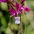 Gold 1990s Signature 14k Gold Rainbow Moonstone Pendant For Sale - Image 8 of 10