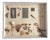 Herbarium Flower Pollination, Germany, 1950s For Sale