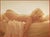 Paper Marilyn Nude The Last Sitting Exhibition Poster by Bert Stern, 2012 For Sale - Image 7 of 7
