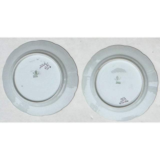Four Nymphenburg Porcelain Botanical Plates For Sale - Image 9 of 11