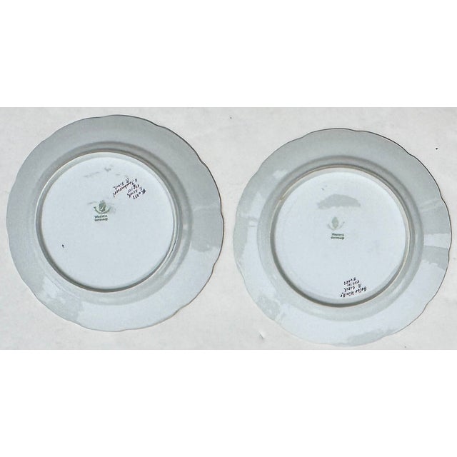 Vintage Nymphenburg Porcelain Botanical Plates – Set of Four For Sale - Image 9 of 11