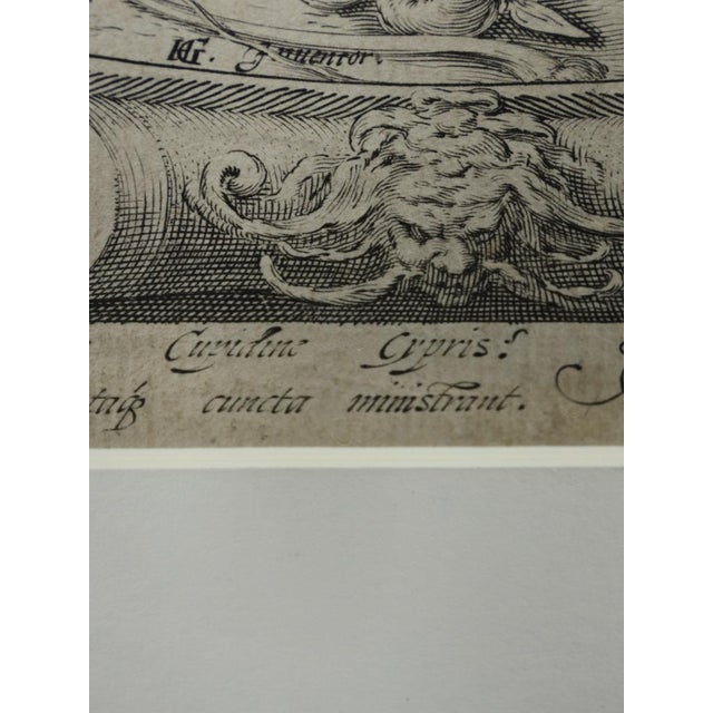 Jan Pietersz Saenredam, Nude Venus & Cupid, 17th Century, Engraving, Framed For Sale - Image 15 of 18