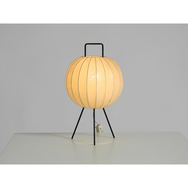 Mid-Century Modern Tripod Cocoon Table Lamp, 1950s For Sale - Image 13 of 18