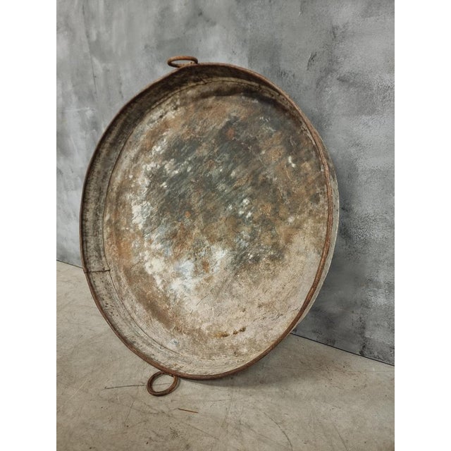 Large Zinc Plate Grape Tray, 1890s For Sale - Image 11 of 11